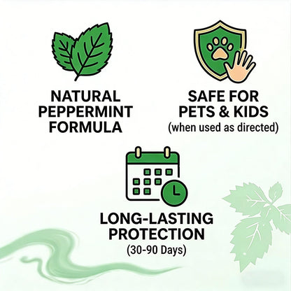 10 - Pack Popular Natural Rodent Repellent Balls! Infused with peppermint and lemon oil, these balls effectively deter squirrels, rats, spiders, and other pests. Safe, long - lasting, and easy - to - use for both indoor and outdoor applications.