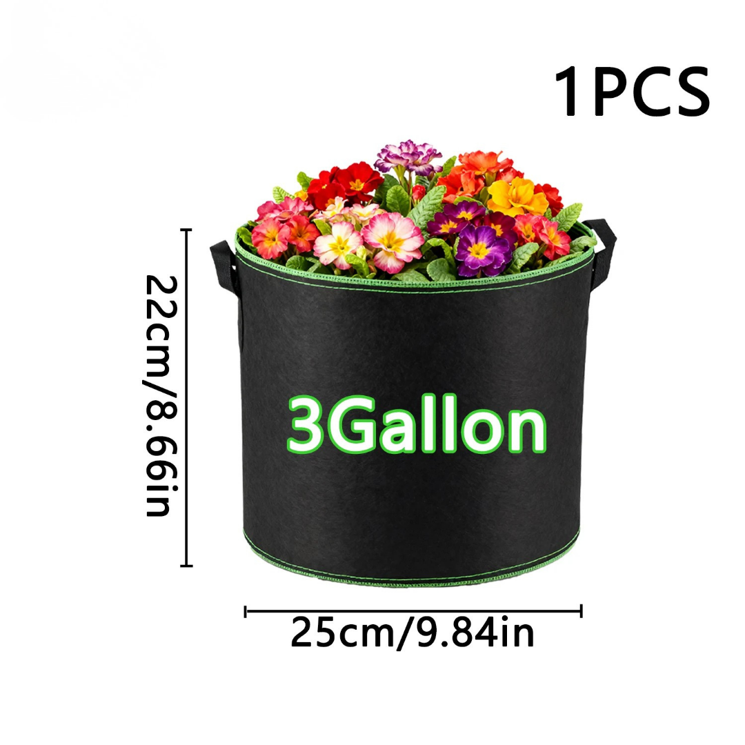 3 Gallons
