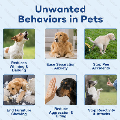 3-in-1 Dog Calming Diffuser – 60-Day Relief