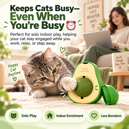 Avocado Catnip Ball Toy 🥑 | Turn Boredom Into Happy Playtime