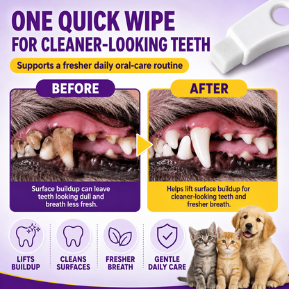 Nano Pet Toothbrush Sponge – Gentle Plaque & Tartar Remover for Dogs & Cats | Easy Wet-Wipe Bad Breath Eliminator