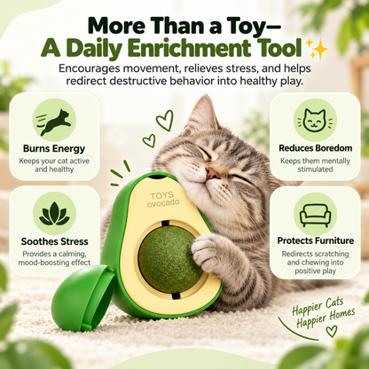 Avocado Catnip Ball Toy 🥑 | Turn Boredom Into Happy Playtime