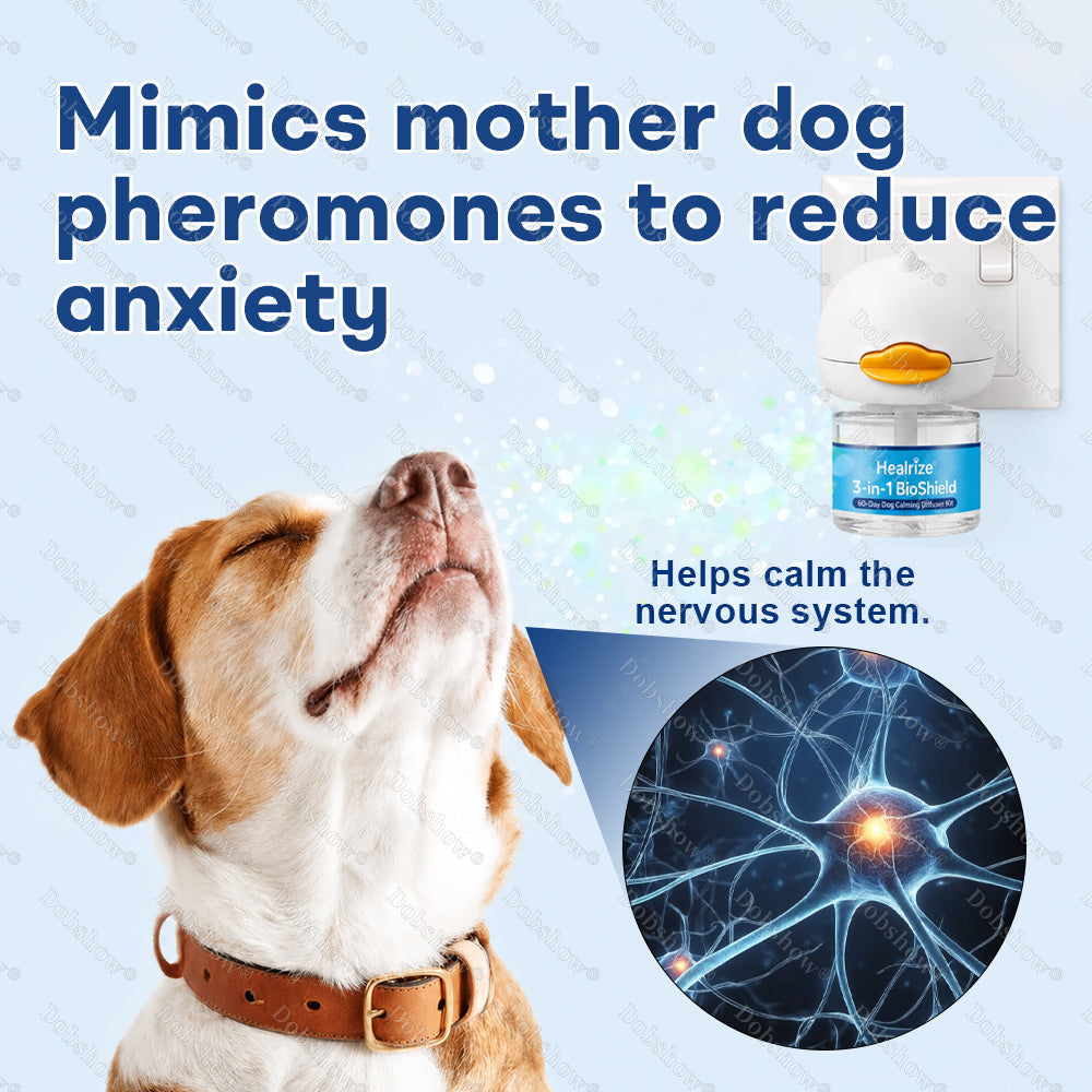 3-in-1 Dog Calming Diffuser – 60-Day Relief