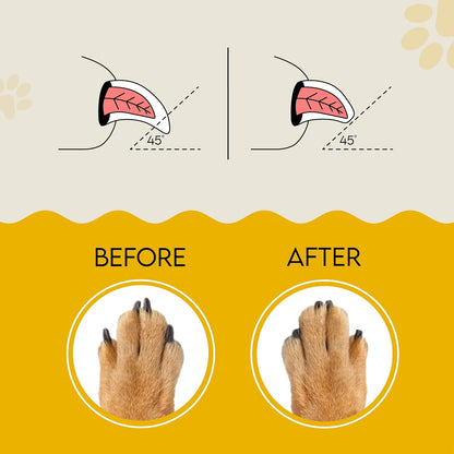 🐾Dog Nail File Scratch Pad – Replaceable Sandpaper