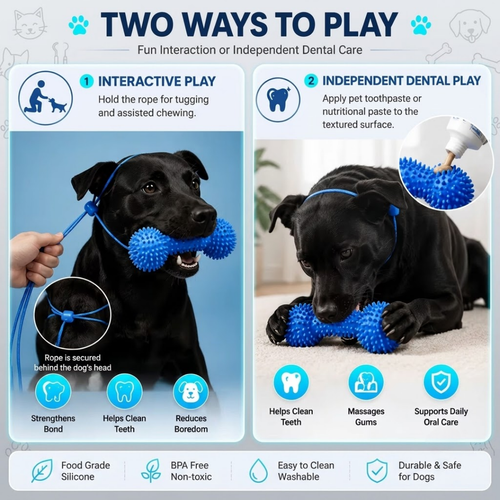 FreshWoof™ Pro: 7-in-1 Dog Dental Chew Toy & Reusable Mouth Opener | Food-Grade Silicone Teeth Cleaning Prop for Small, Medium & Large Dogs