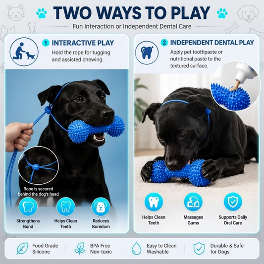 FreshWoof™ Pro: 7-in-1 Dog Dental Chew Toy & Reusable Mouth Opener | Food-Grade Silicone Teeth Cleaning Prop for Small, Medium & Large Dogs