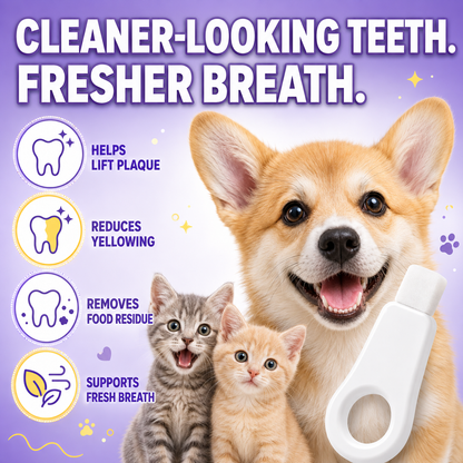 Nano Pet Toothbrush Sponge – Gentle Plaque & Tartar Remover for Dogs & Cats | Easy Wet-Wipe Bad Breath Eliminator