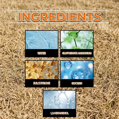 Healrize™ 2-in-1 PRO+ Herbicide | Fast-Acting 6-Hour Root Killer for Gardens, Lawns & Orchards