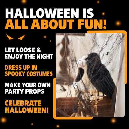 Stretchable Halloween Spider Web Decoration
