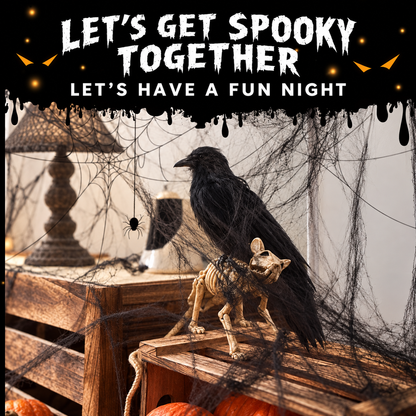 Stretchable Halloween Spider Web Decoration