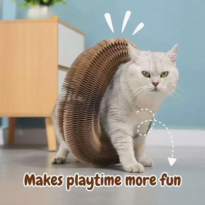 MagiClaw™ Circular Cat Scratcher & Track Toy | Save Your Furniture! 🐈