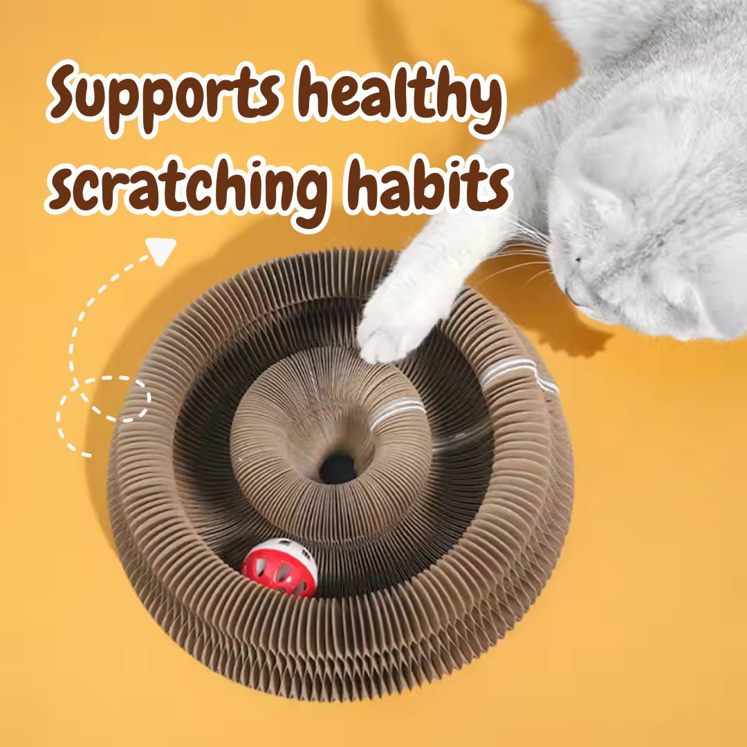 MagiClaw™ Circular Cat Scratcher & Track Toy | Save Your Furniture! 🐈