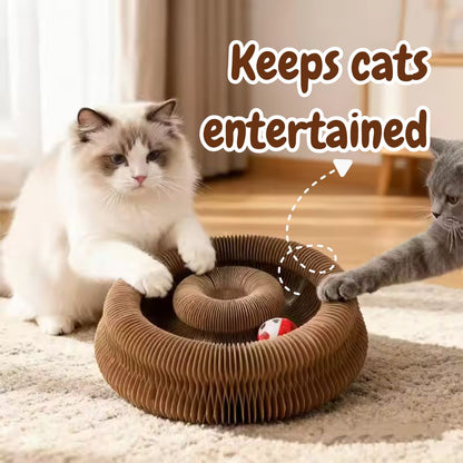 MagiClaw™ Circular Cat Scratcher & Track Toy | Save Your Furniture! 🐈