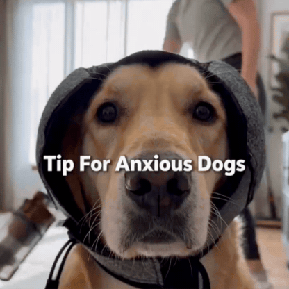 Dog Ear Protection Wrap – Anti-Anxiety Noise Muffling Earmuffs for Thunder, Fireworks & Grooming