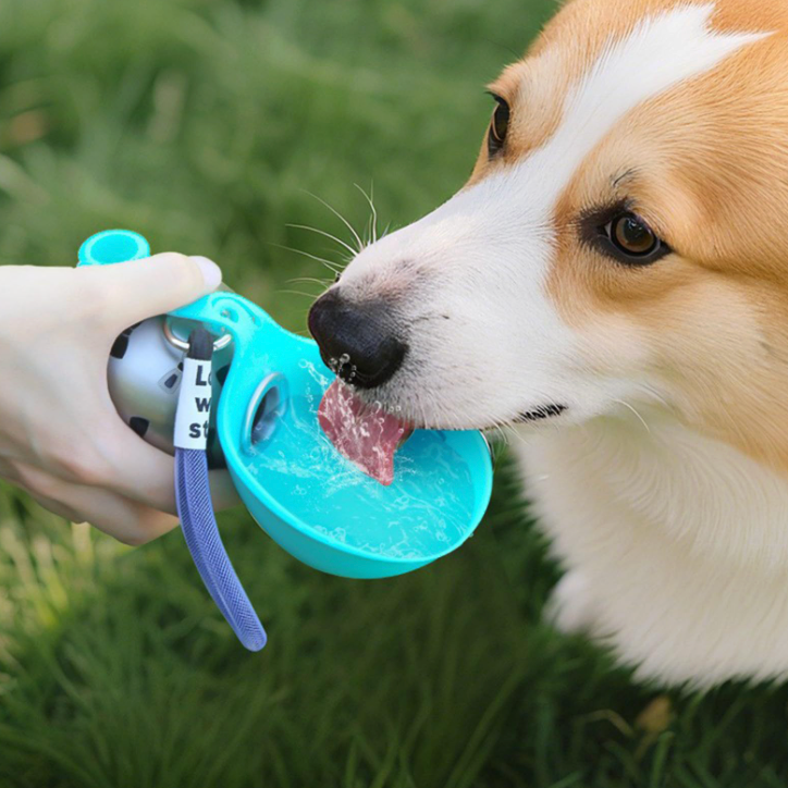Dog Water Bottle Sling – Walk & Hydrate Easy
