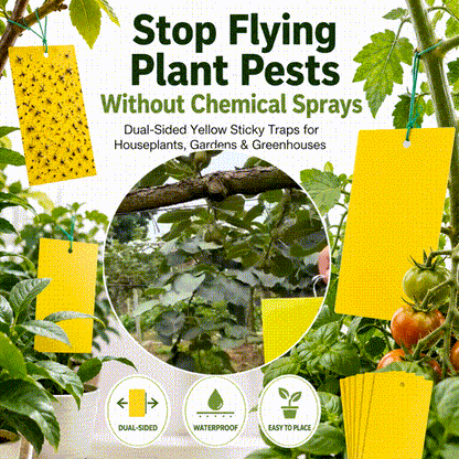 Dual Sided Yellow Sticky Traps for Flying Plant Insect Like Fungus Gnats -upsell