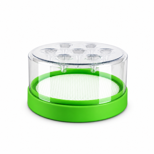 Reusable Indoor Fruit Fly Trap | Chemical-Free Gnat & Insect Catcher for Kitchens, Homes & Markets